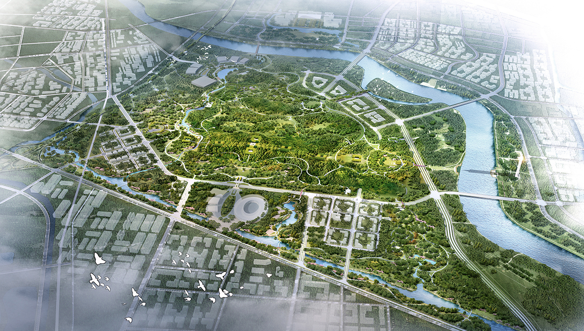 城市绿化管理（内容）.jpg