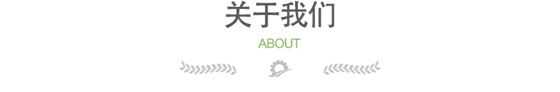 关于我们